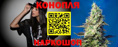 mdpv Краснознаменск