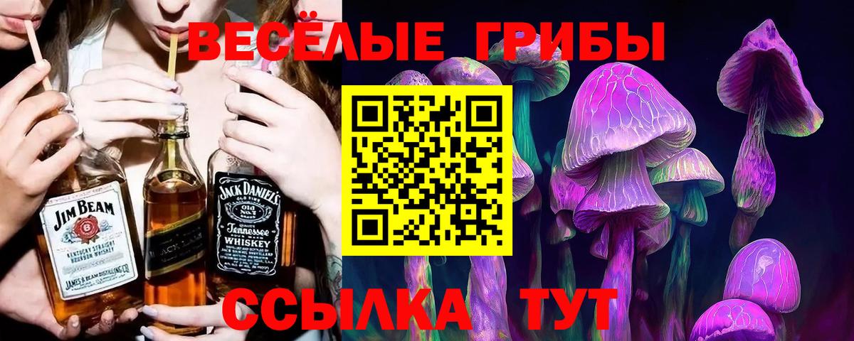 Котельники  Галлюциногенные грибы прущие грибы  Вход с VPN 