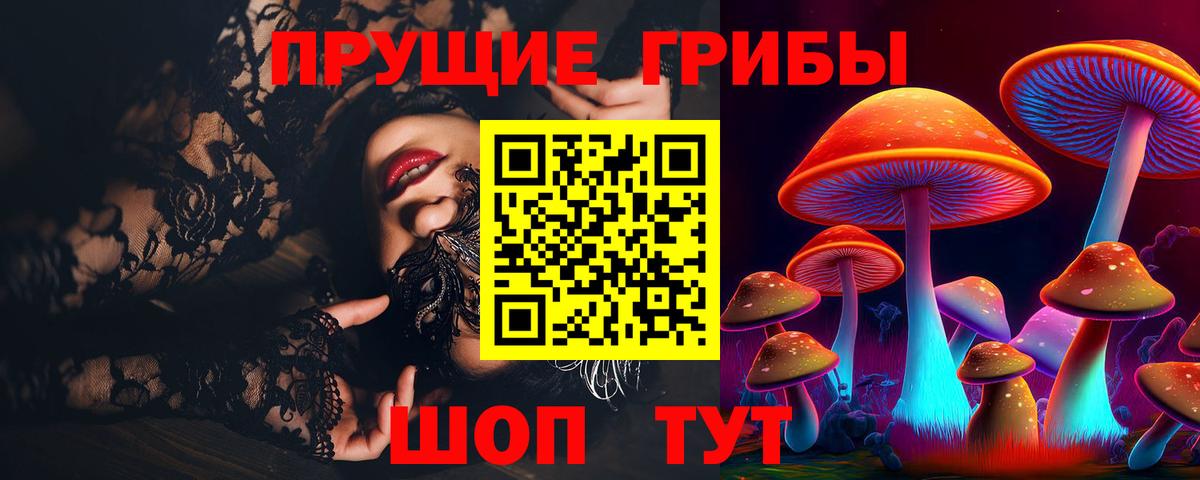 Псилоцибиновые грибы Psilocybine cubensis Котельники